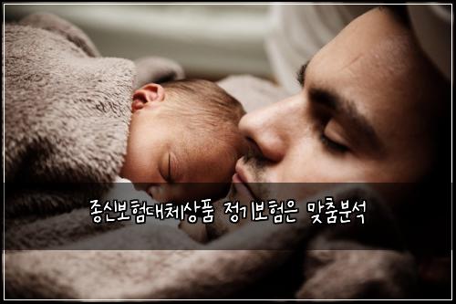 종신보험대체상품 정기보험은 맞춤분석