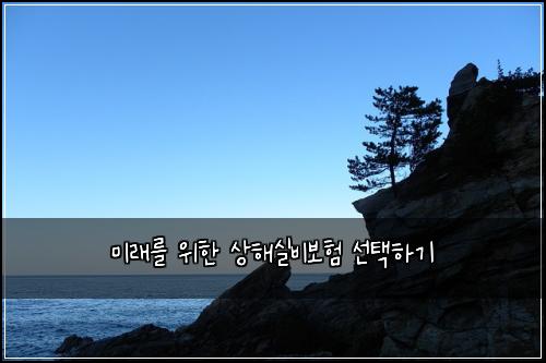미래를 위한 상해실비보험 선택하기