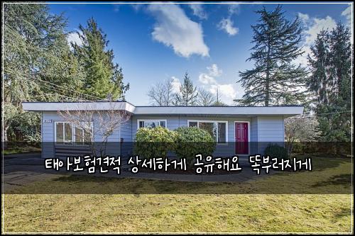 태아보험견적 상세하게 공유해요 똑부러지게