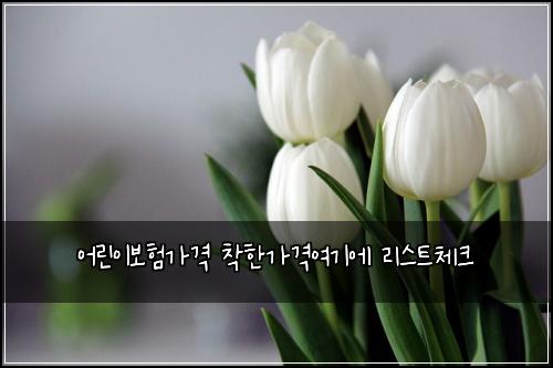 ์ด๋ฆฐ์ด๋ณดํ๊ฐ๊ฒฉ ์ฐฉํ๊ฐ๊ฒฉ์ฌ๊ธฐ์ ๋ฆฌ์คํธ์ฒดํฌ