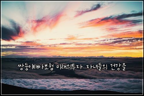쌍둥이태아보험 미래의투자  자녀들의 건강을