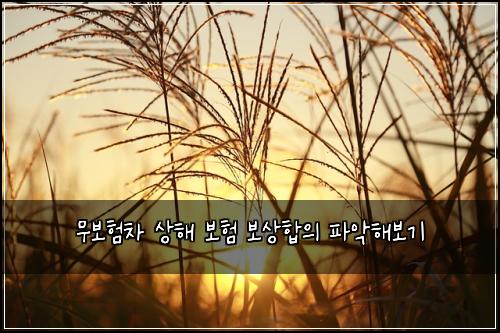 무보νμ°¨ μν΄ λ³΄ν 보μν©μ νμ
ν΄λ³΄κΈ°