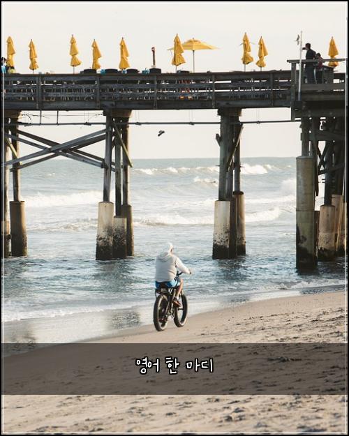 영어 한 마디
