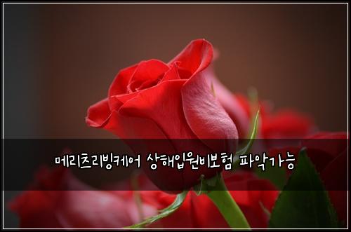 메리츠리빙케어 상해입원비보험 파악가능 