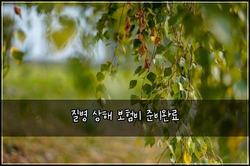 ์ง๋ณ ์ํด ๋ณดํ๋น ์ค๋น์๋ฃ