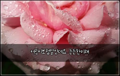 어린이보험말인데요 든든한미래