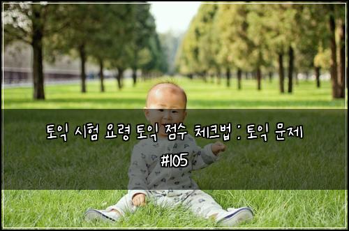 토익 시험 요령 토익 점수 체크법 : 토익 문제 #105