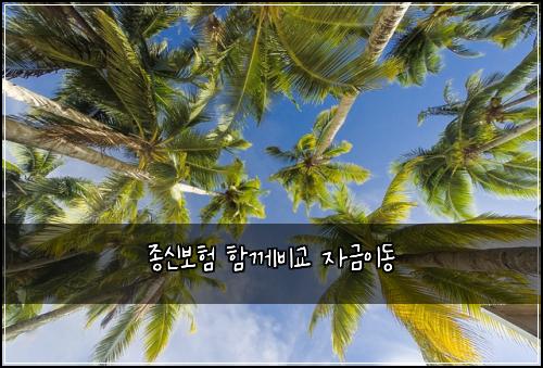 ์ข
์ ๋ณดํ ํจ๊ป๋น๊ต ์๊ธ์ด๋