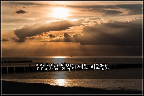 부부암보험 일찍하세요  비교정보