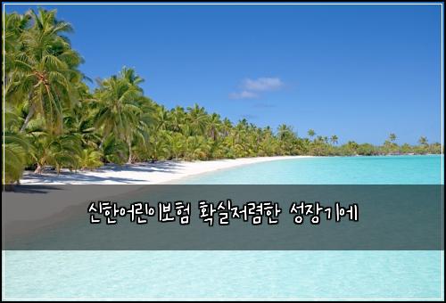 신한어린이보험 확실저렴한  성장기에