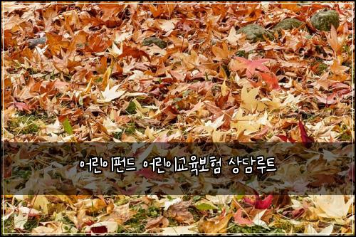 어린이펀드 어린이교육보험 상담루트 