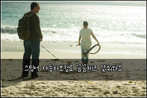 ์คํ
์ด ์๋์ฐจ๋ณดํ๋ฃ ๊ผผ๊ผผ์ฒดํฌ ๊ฐ์ถฐ๋ด์