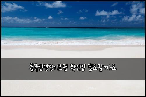 흥국생명정기보험 확인법  필요할까요