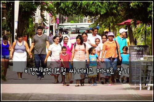 비갱신형정기보험 싸게비교  제대로 알기
