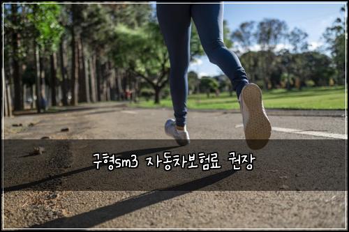 구형sm3 자동차보험료 권장