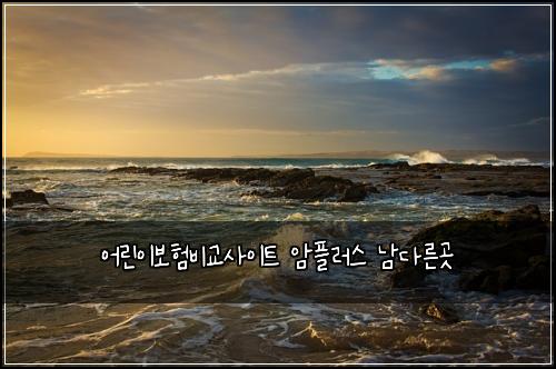 ์ด๋ฆฐ์ด๋ณดํ๋น๊ต์ฌ์ดํธ ์ํ๋ฌ์ค ๋จ๋ค๋ฅธ๊ณณ