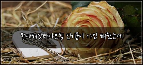 현대해상태아보험 인기몰이  가입 해줬는데