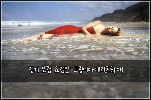 정기 보험 요점만  드립니다메리츠화재