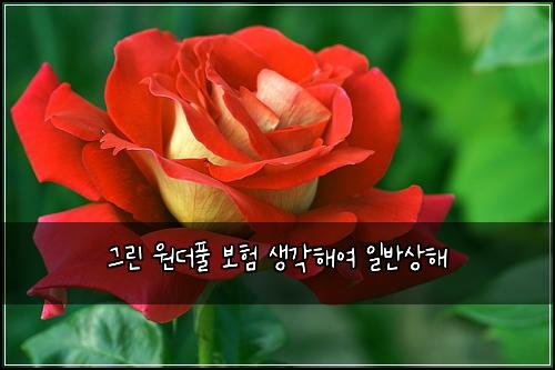 ๊ทธ๋ฆฐ ์๋ํ ๋ณดํ ์๊ฐํด์ฌ ์ผ๋ฐ์ํด