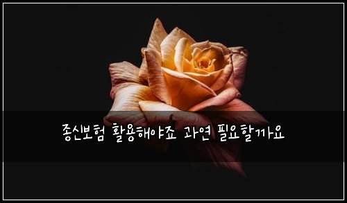 ์ข
์ ๋ณดํ ํ์ฉํด์ผ์ฃ ๊ณผ์ฐ ํ์ํ ๊น์