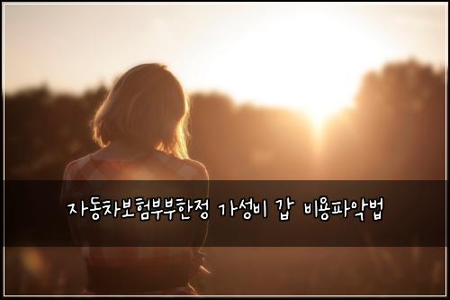 자동차보험부부한정 가성비 갑 비용파악법