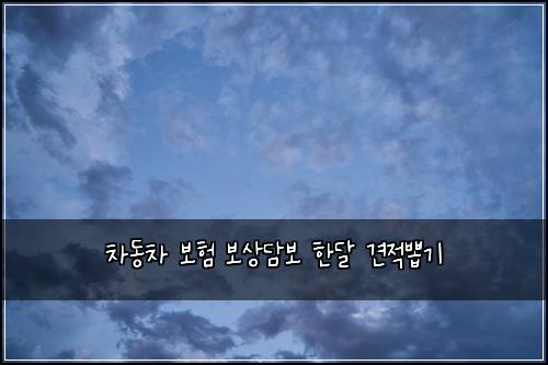 차동차 보험 보상담보  한달 견적뽑기