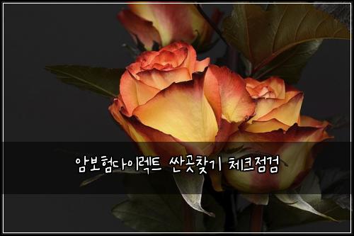 ์๋ณดํ๋ค์ด๋ ํธ ์ผ๊ณณ์ฐพ๊ธฐ ์ฒดํฌ์ ๊ฒ