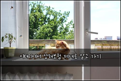 이태리에서 상해보험 제대로 알고 가기