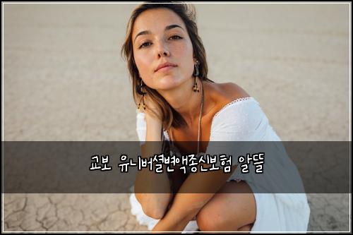 κ΅λ³΄ μ λλ²μ
λ³μ‘μ’
μ 보ν μλ°