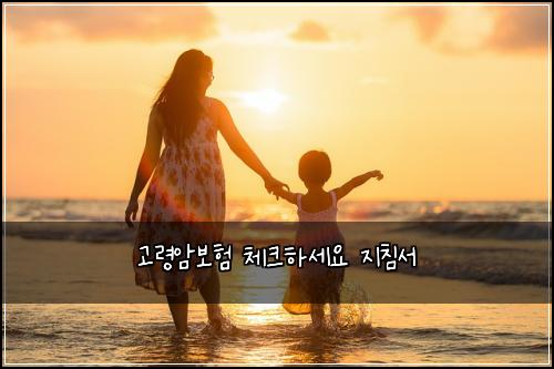๊ณ ๋ น์๋ณดํ ์ฒดํฌํ์ธ์ ์ง์นจ์