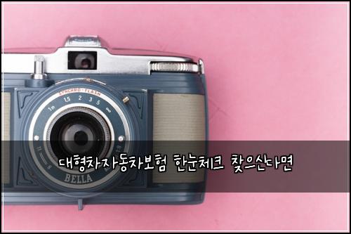 대형차자동차보험 한눈체크  찾으신다면