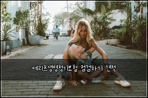 메리츠생명정기보험 점검하기  견적