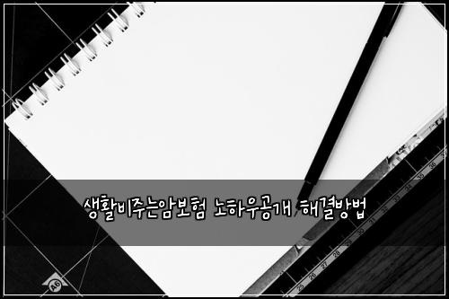 생활비주는암보험 노하우공개  해결방법
