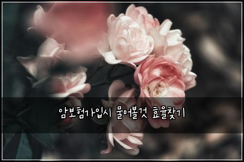 암보험가입시 물어볼것 효율찾기