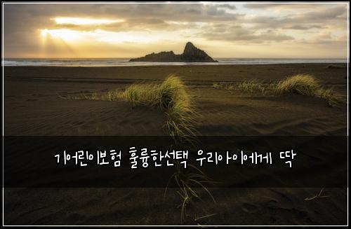 기어린이보험 훌륭한선택  우리아이에게 딱