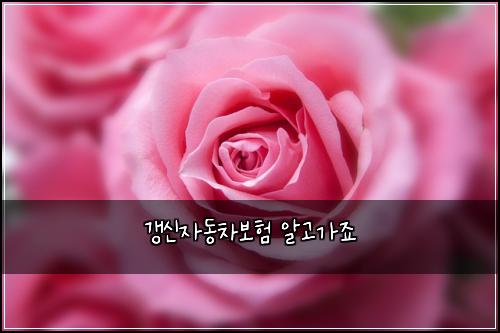 ๊ฐฑ์ ์๋์ฐจ๋ณดํ ์๊ณ ๊ฐ์ฃ