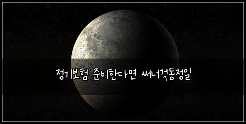 정기보험 준비한다면  써너걱동정일