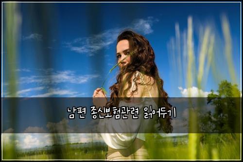 ๋จํธ ์ข
์ ๋ณดํ๊ด๋ จ ์ฝ์ด๋๊ธฐ