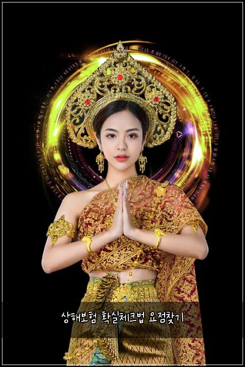 ์ํด๋ณดํ ํ์ค์ฒดํฌ๋ฒ ์์ ์ฐพ๊ธฐ