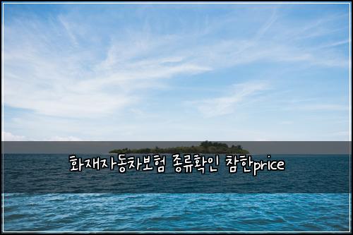 화재자동차보험 종류확인  참한price