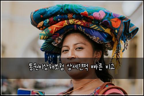 ํต์๋น์ํด๋ณดํ ์์ธ๊ฒฌ์ ๋น ๋ฅธ ๋น๊ต