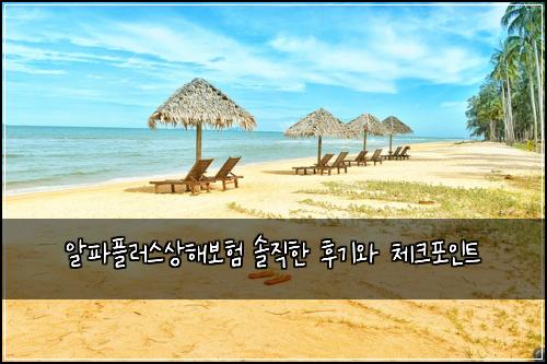 알파플러스상해보험 솔직한 후기와 체크포인트