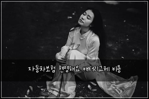 자동차보험 현명해요  배터리교체 비용