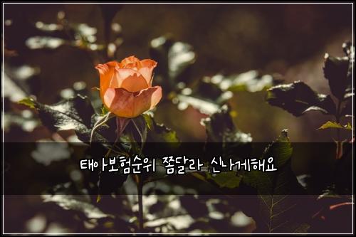ํ์๋ณดํ์์ ์ซ๋ฌ๋ผ ์ ๋๊ฒํด์