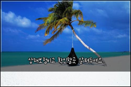 ์ํด๋ณดํ๋น๊ต ํ์ธํ ๊ณณ ์ดํด๋์ธ์