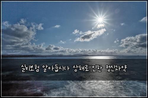 실비보험 알아둡시다  상해로 인한 정신과약