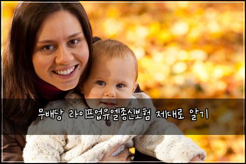 무배당 라이프업유엘종신보험 제대로 알기