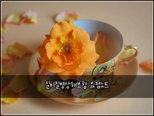 실비질병상해보험 요점노트 