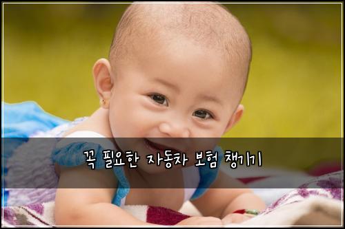 꼭 필요한 자동차 보험 챙기기