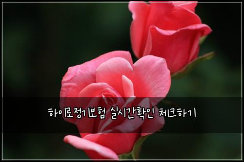 ํ์ด๋ก์ ๊ธฐ๋ณดํ ์ค์๊ฐํ์ธ ์ฒดํฌํ๊ธฐ